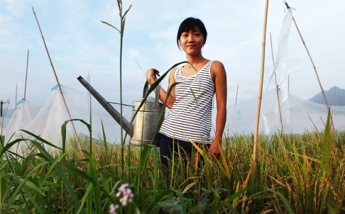 Diện tích canh tác đậu tương ở Trung Quốc có thể giảm 15%