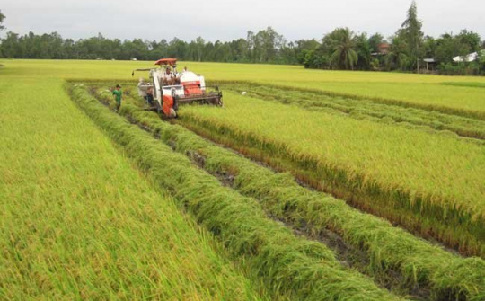 WB: Phê duyệt một số khoản tín dụng cho Việt Nam 