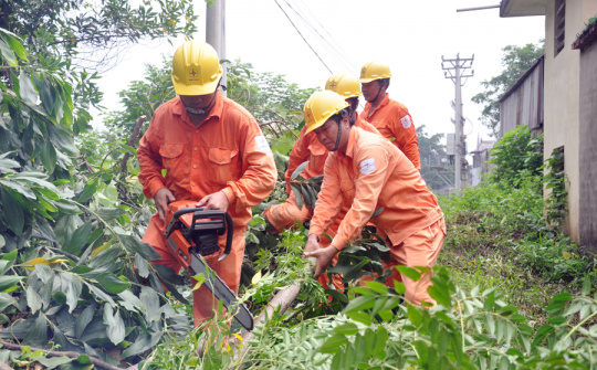 EVN HANOI: An toàn lưới điện mùa mưa bão
