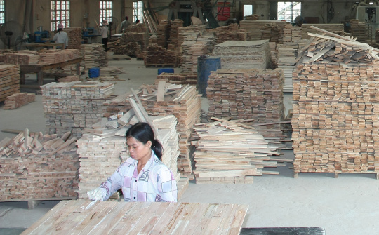 Gỗ rừng trồng: Sản phẩm thế mạnh của Yên Bái