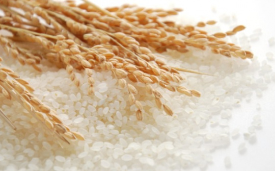 Diễn biến thị trường gạo trong nước tháng 7/2015