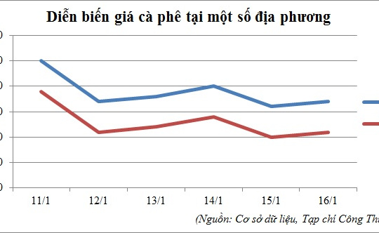 Diễn biến giá cà phê tại một số địa phương (11/01 - 16/01/2016)
