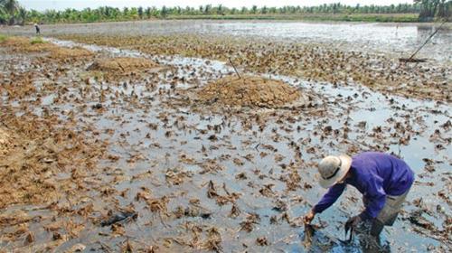 WB sẽ hỗ trợ Việt Nam ứng phó hiệu quả với biến đổi khí hậu 