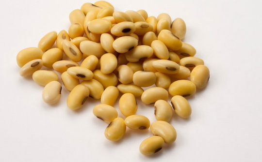 USDA: Dự báo sản lượng đậu tương toàn cầu tăng