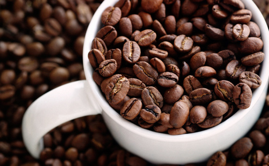 6 tháng đầu năm 2016: Xuất khẩu cà phê robusta của Indonesia giảm mạnh