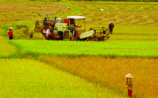 Indonesia cập nhật quy định về xuất nhập khẩu sản phẩm nông nghiệp