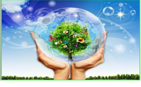 Thủ tướng Nguyễn Xuân Phúc: Tăng trưởng kinh tế phải gắn với bảo vệ môi trường
