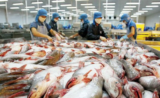 Thượng viện Hoa Kỳ bỏ phiếu thông qua việc hủy bỏ chương trình thanh tra cá da trơn mới
