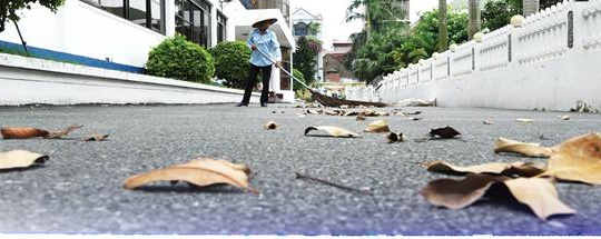 “Đó là công việc của mình”