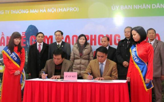 Hapro nỗ lực đẩy mạnh hàng Việt ra thị trường
