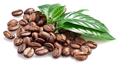Giá cà phê Robusta tiếp tục tăng cao nhất kể từ tháng 11/2015