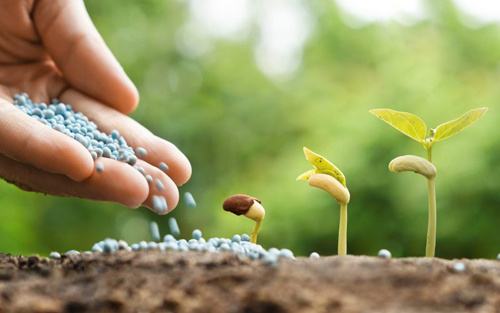 PVFCCo đồng hành cùng chuỗi chương trình Tọa đàm “Biến đổi khí hậu và sản xuất nông nghiệp bền vững tại Tây Nguyên”