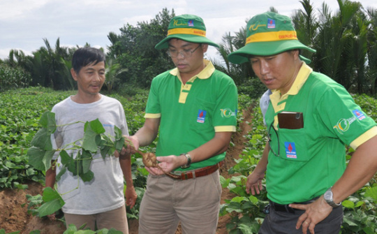 Chăm sóc khách hàng tốt như Đạm Phú Mỹ