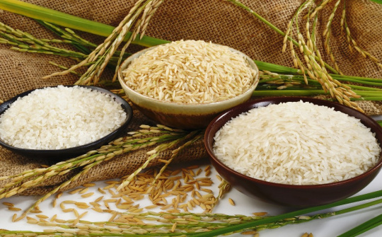 Giá gạo châu Á giảm nhẹ trước kỳ nghỉ lễ Giáng sinh và Năm mới 