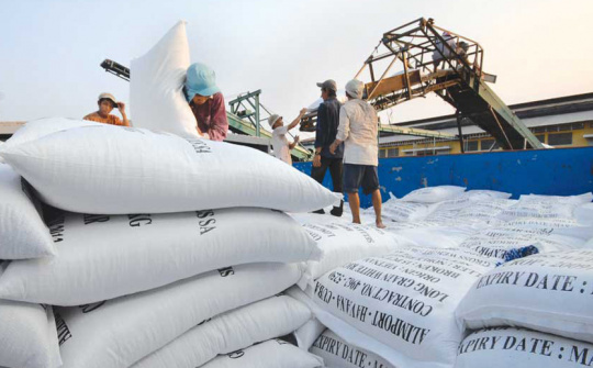 Bãi bỏ Quy hoạch Thương nhân kinh doanh xuất khẩu gạo 