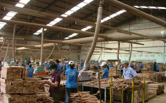 Big wood processing factory officially operates in Nghe An