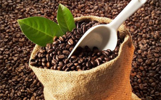 Vicofa organizes the Vietnam Coffee Day in Ho Chi Minh City
