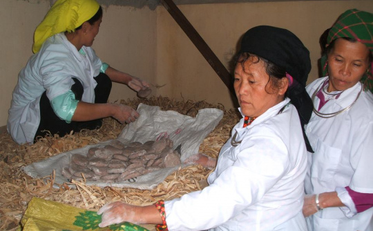 Giữa"cơn bão" rượu  không an toàn  và một mô hình đáng chú ý 