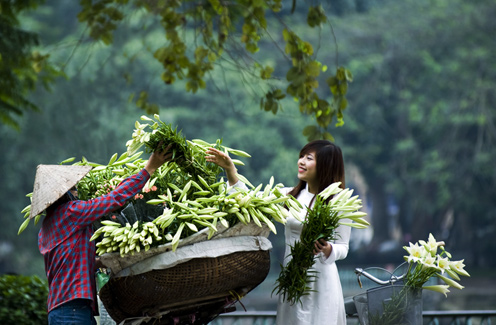Nhan nhát vị gió chuyển mùa
