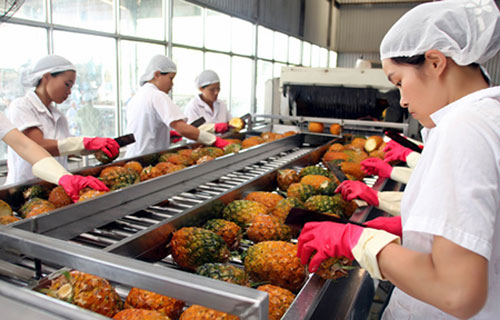 Cơ hội cho rau quả Việt Nam rộng đường sang UAE