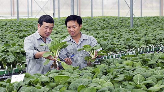 Định vị Việt Nam trở thành nhà sản xuất thực phẩm lớn trên thế giới