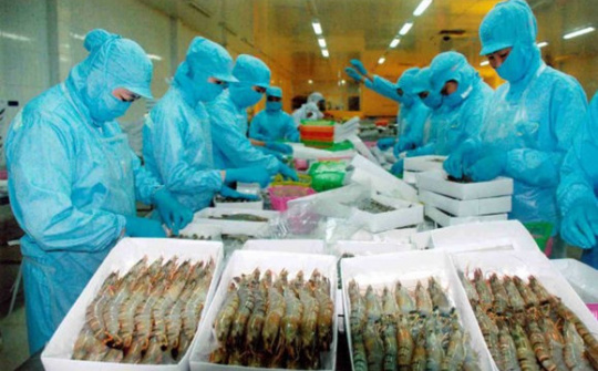 Exports of aquatic products surge in six months