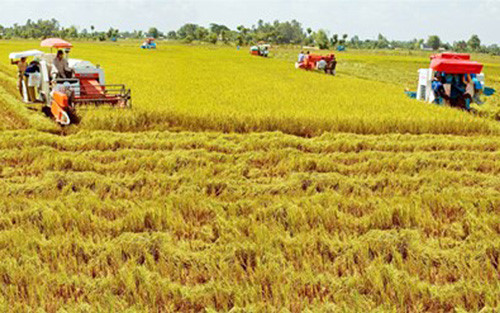 Mekong Delta region enjoys 3.5 billion USD trade surplus in six months