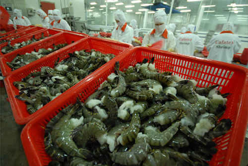 Vietnamese shrimp exporters struggle to compete in US