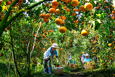Ảnh đẹp tham dự Bình chọn ảnh “Tôi yêu hàng Việt Nam” Tuần thứ hai