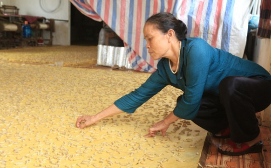 Người hồi sinh nghề chăn tằm dệt lụa xứ Đoài
