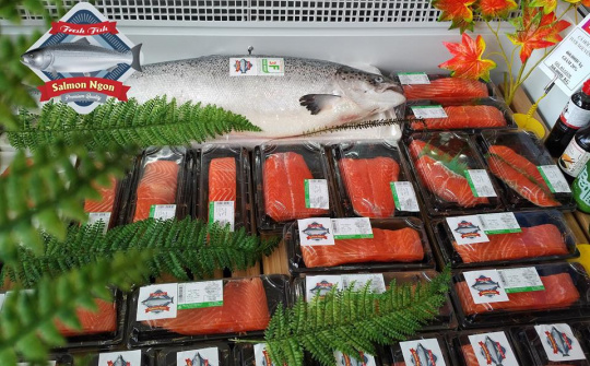 Ho Chi Minh City, Japan’s Hokkaido step up agricultural, aquatic cooperation