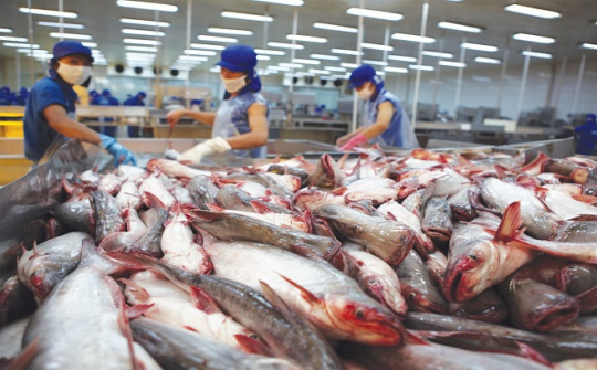 Sắp diễn ra Hội chợ cá tra và sản phẩm thủy sản Việt Nam