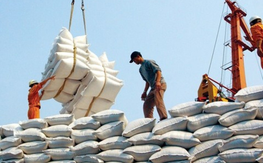 Băng-la-đét mời thầu quốc tế nhập khẩu 50.000 tấn gạo đồ Non-Basmati