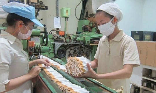 Sản xuất, mua bán sản phẩm thuốc lá phải có giấy phép