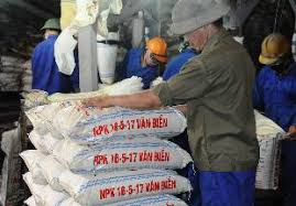 Hướng tới nền nông nghiệp sạch, an toàn, hiệu quả bằng biện pháp sử dụng phân bón Văn Điển