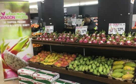 “Vietnamese Dragon Fruit Day” goes vibrant in Australia 
