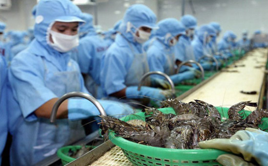 VASEP: No year-end surge in tra fish, shrimp exports to US 