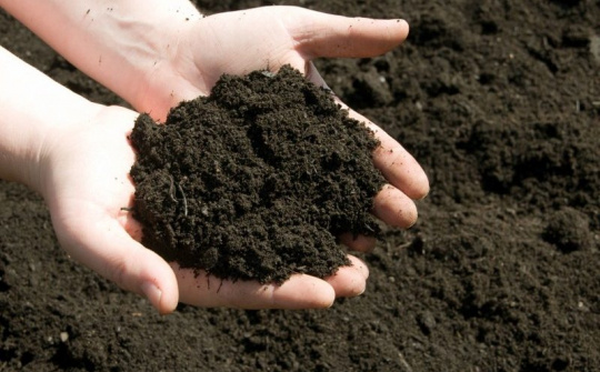 Experts urge organic fertiliser use 