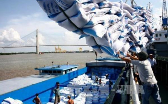 Agro-forestry-aquatic product exports hit 10.8 billion USD 