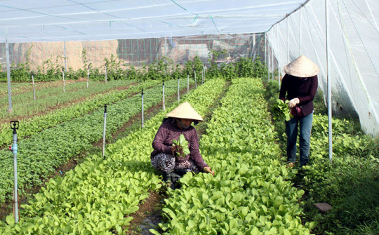 Organic agriculture seeks solutions to grow 