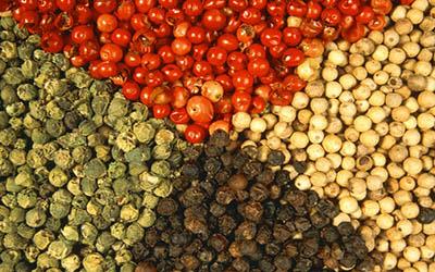 Vietnam’s pepper products to be traded on VNX 