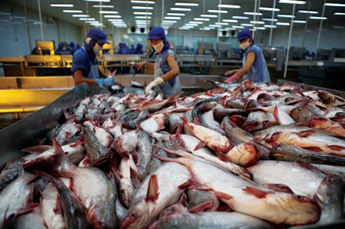 Seafood exports to US face tough recovery