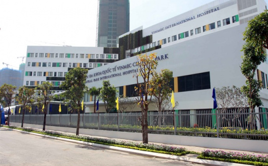 Vingroup targets 40 percent revenue growth, lower net income 