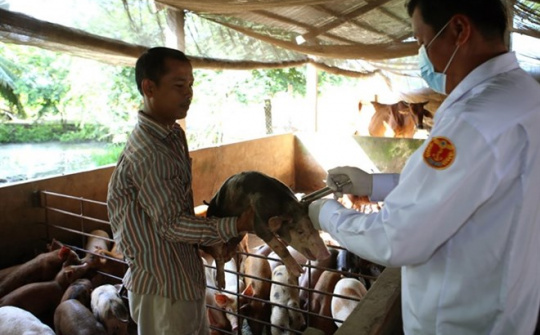 Vietnam to export pork to China, official says 