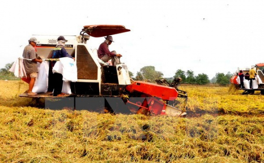 IFC assists Vietnam with sustainable agricultural production 