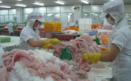 Food factory using Thai technology inaugurated in Ben Tre