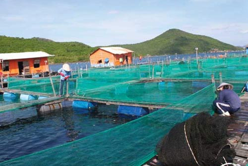 Vietnam targets sustainable aquaculture