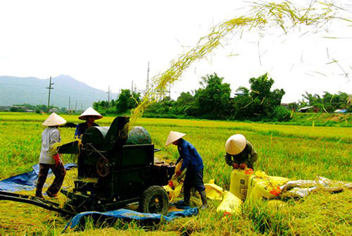 Tay Ninh province plans higher income for farmers 