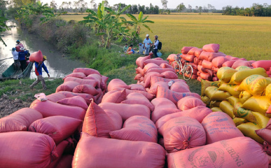 Mekong Delta province boosts economic restructuring 