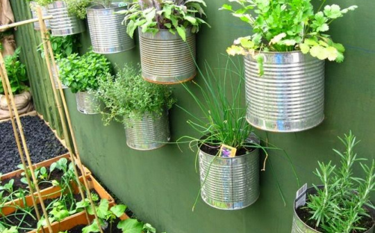 Israel assists Dien Bien farmers in growing safe vegetables 